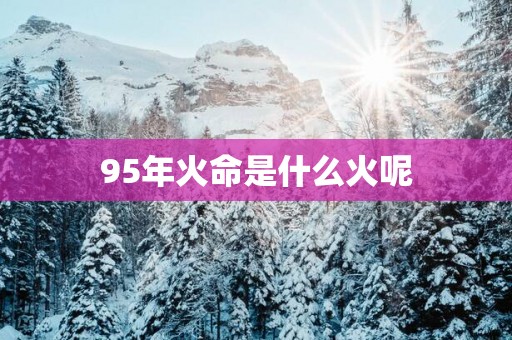 95年火命是什么火呢