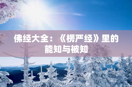 佛经大全：《楞严经》里的能知与被知