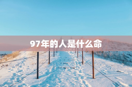 97年的人是什么命