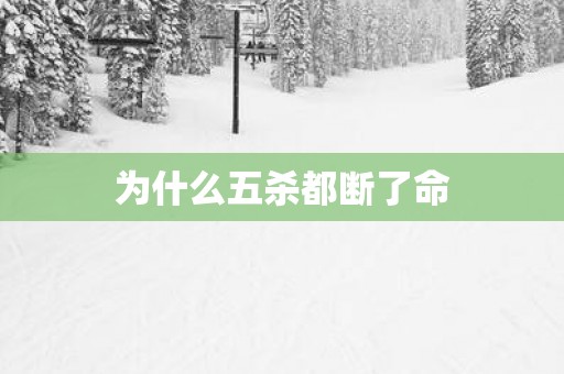 为什么五杀都断了命