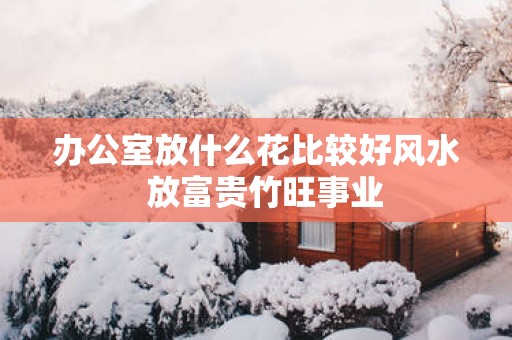 办公室放什么花比较好风水  放富贵竹旺事业