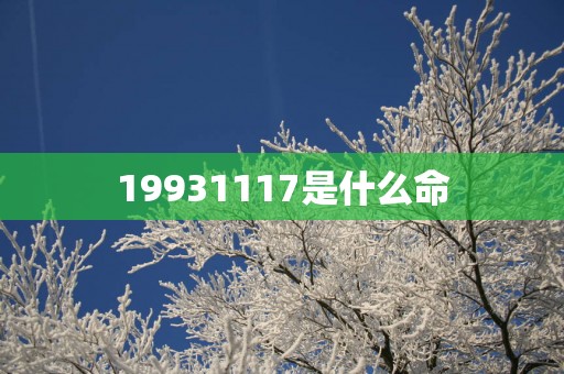 19931117是什么命
