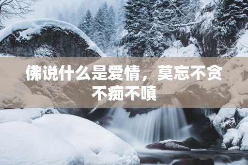 佛说什么是爱情，莫忘不贪不痴不嗔