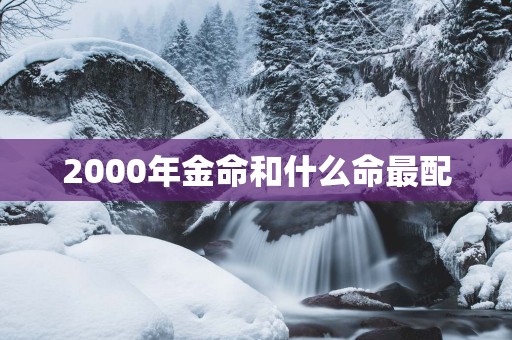 2000年金命和什么命最配