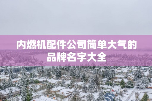 内燃机配件公司简单大气的品牌名字大全
