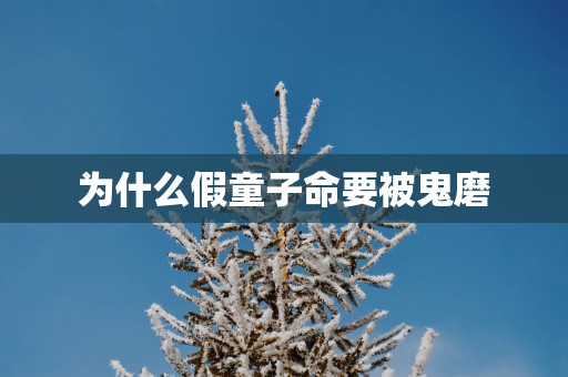 为什么假童子命要被鬼磨