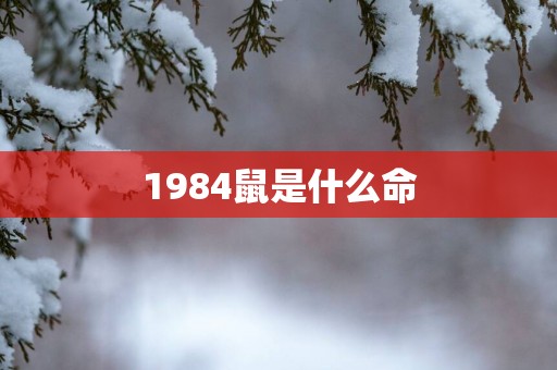 1984鼠是什么命