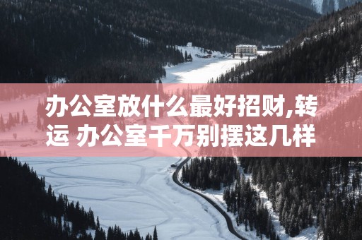 办公室放什么最好招财,转运 办公室千万别摆这几样