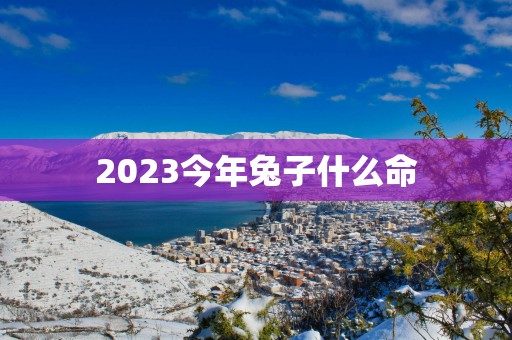 2025今年兔子什么命