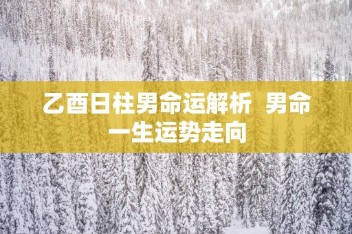 乙酉日柱男命运解析  男命一生运势走向