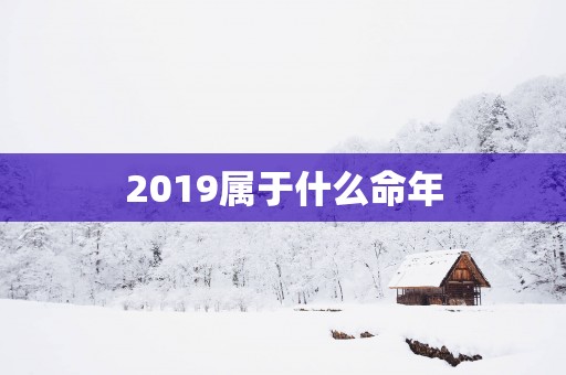 2019属于什么命年