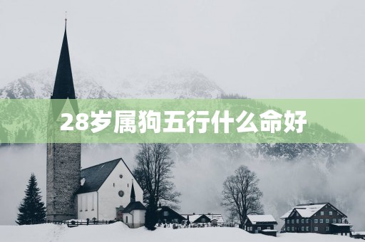 28岁属狗五行什么命好