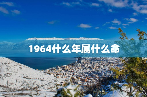 1964什么年属什么命