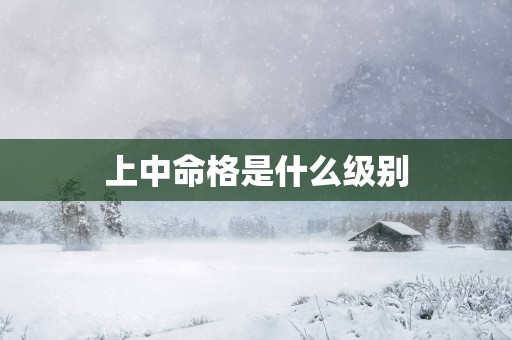 上中命格是什么级别