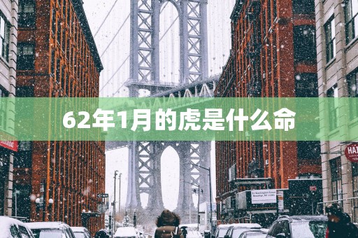 62年1月的虎是什么命