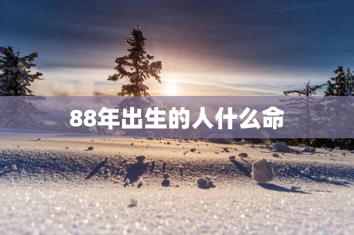 88年出生的人什么命
