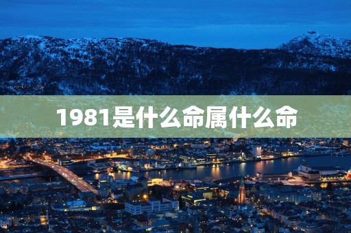 1981是什么命属什么命