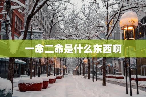 一命二命是什么东西啊