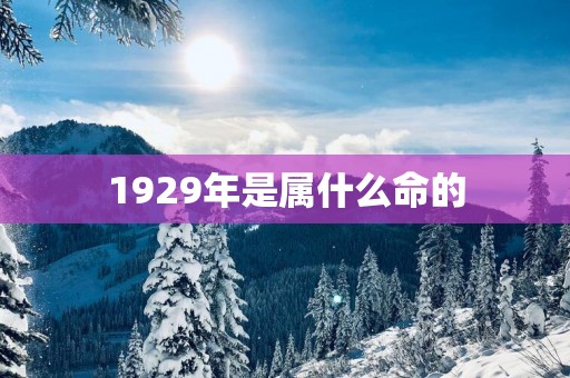 1929年是属什么命的
