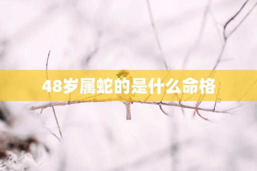 48岁属蛇的是什么命格