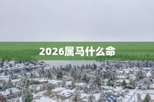 2026属马什么命