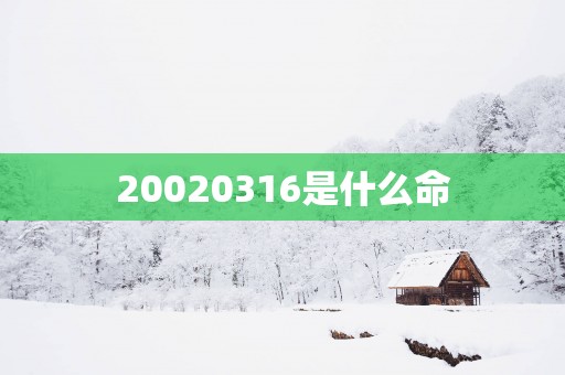 20020316是什么命