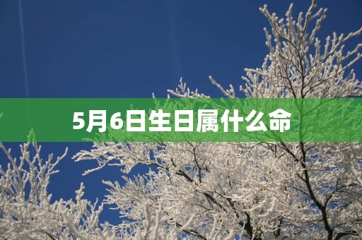 5月6日生日属什么命