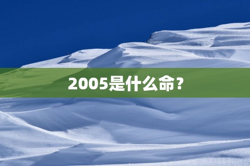 2005是什么命？