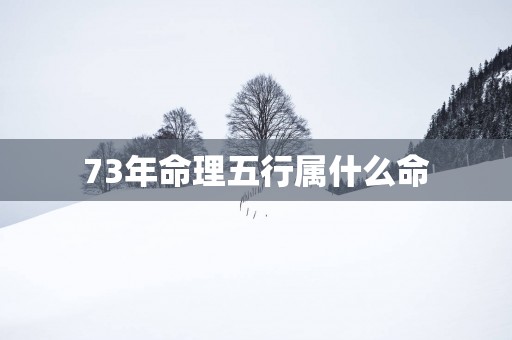 73年命理五行属什么命