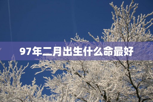 97年二月出生什么命最好