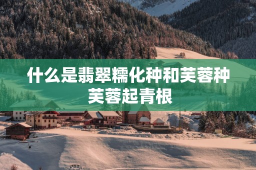 什么是翡翠糯化种和芙蓉种 芙蓉起青根