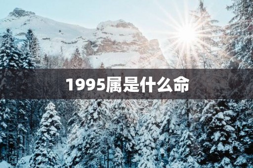 1995属是什么命