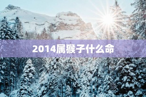 2014属猴子什么命