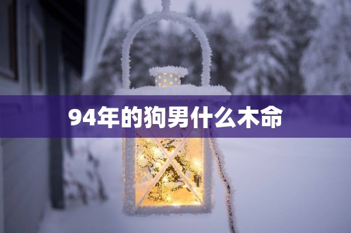 94年的狗男什么木命