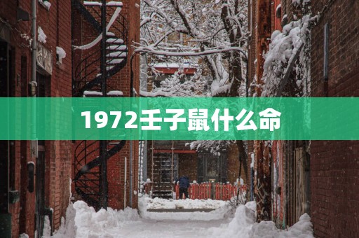 1972壬子鼠什么命