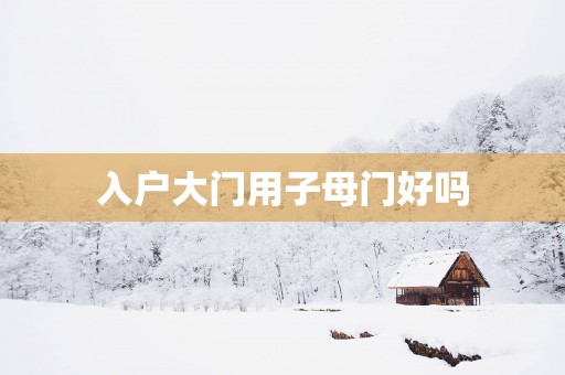 入户大门用子母门好吗