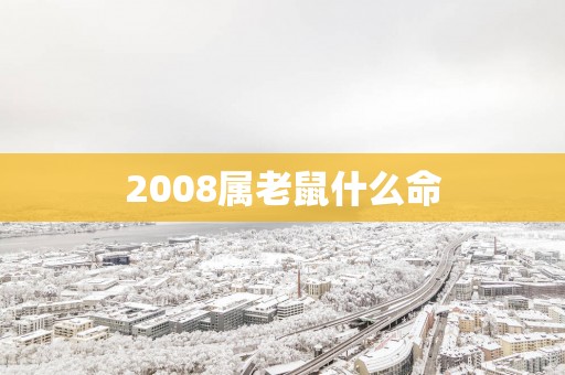 2008属老鼠什么命