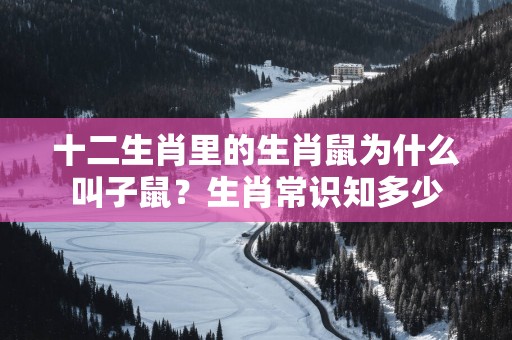 十二生肖里的生肖鼠为什么叫子鼠？生肖常识知多少