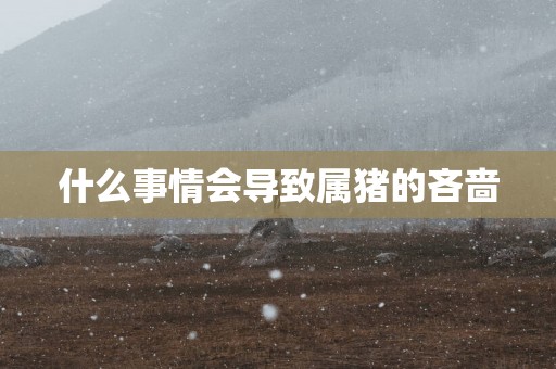 什么事情会导致属猪的吝啬