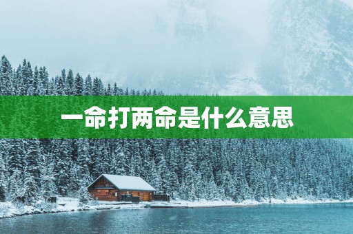 一命打两命是什么意思