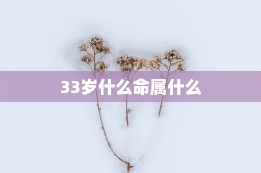 33岁什么命属什么