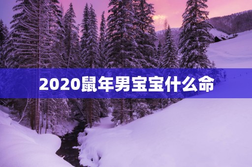 2025蛇年男宝宝什么命