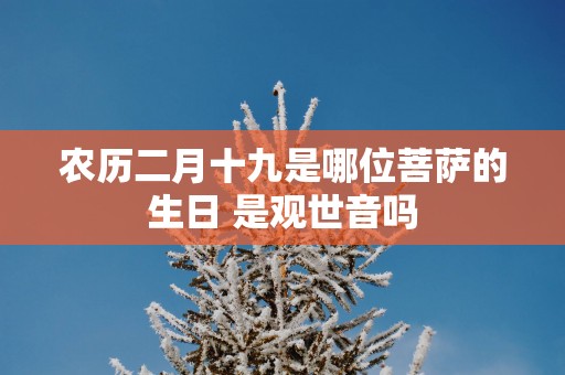 农历二月十九是哪位菩萨的生日 是观世音吗