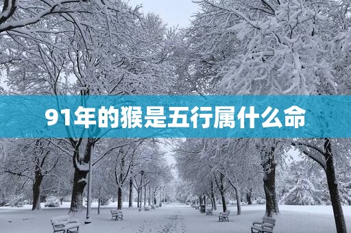 91年的猴是五行属什么命