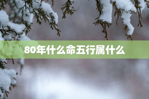80年什么命五行属什么