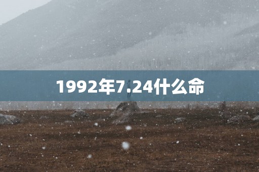 1992年7.24什么命