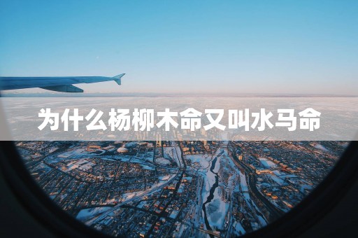 为什么杨柳木命又叫水马命