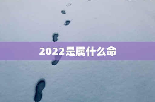 2025是属什么命