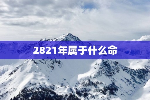 2821年属于什么命