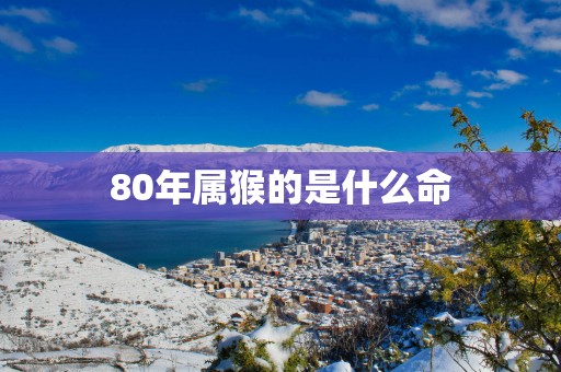 80年属猴的是什么命